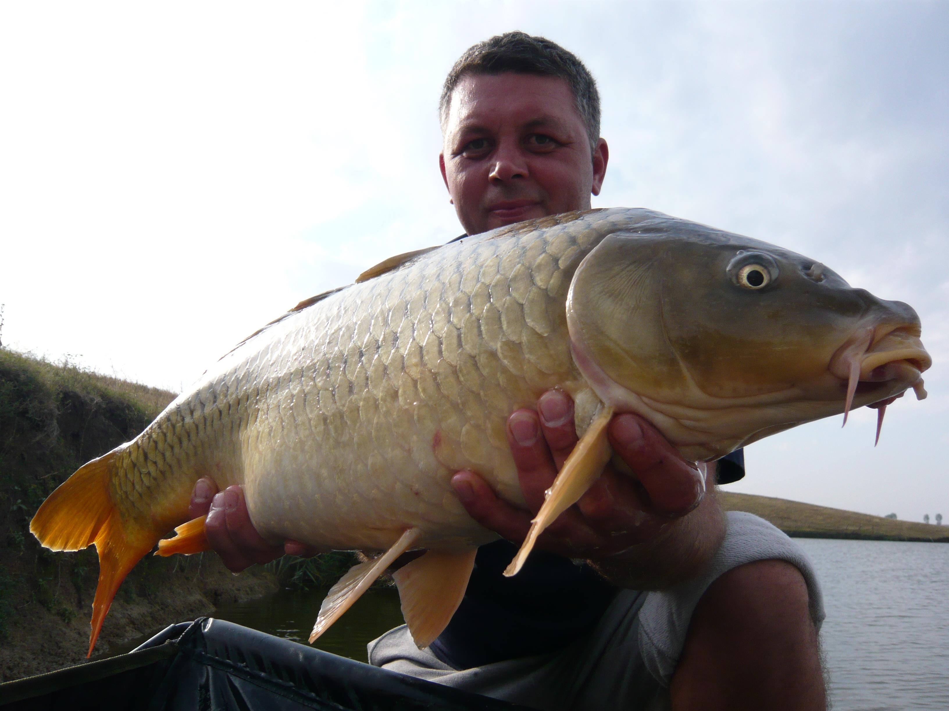 lates 2012 - P1020818.JPG